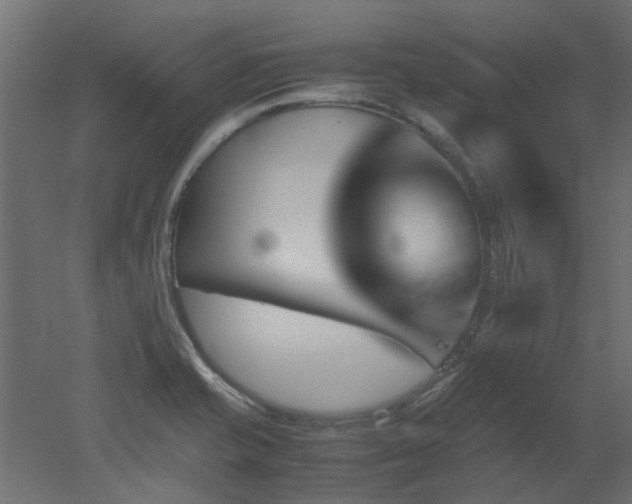 X0000051881421200506241401