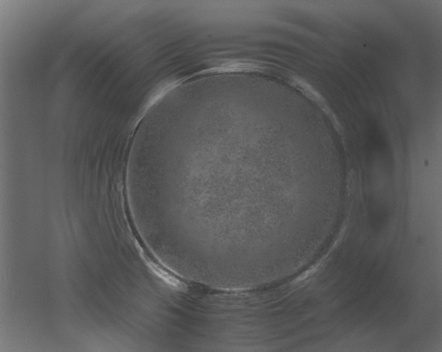 X0000051881425200506241401