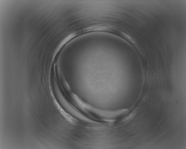 X0000051881426200506241402