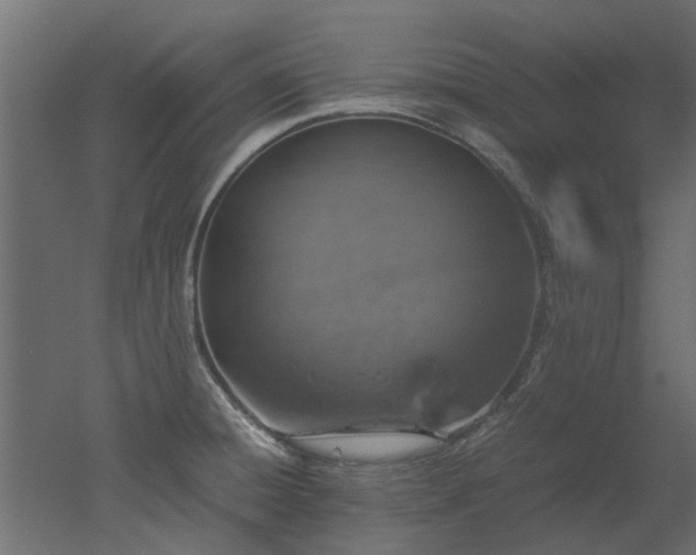 X0000051881428200506241402