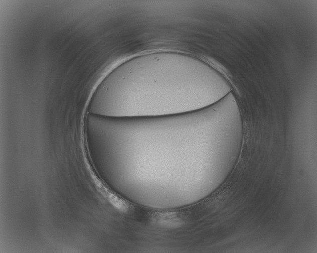 X0000051881431200506241402