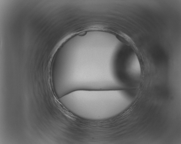 X0000051881435200506241402
