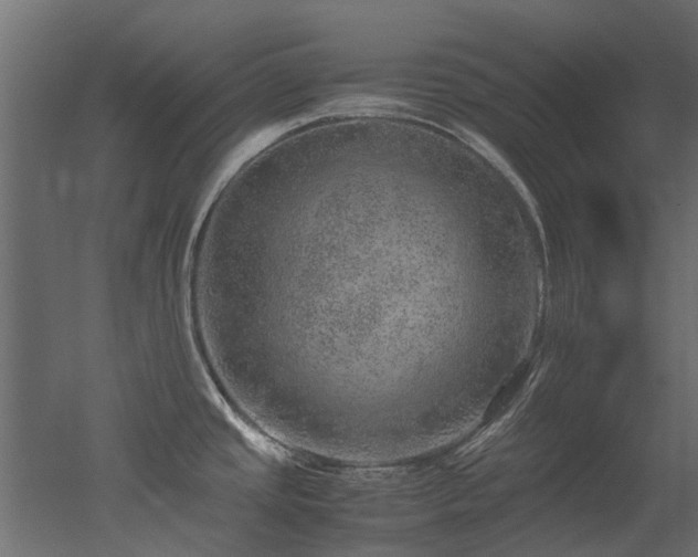X0000051881437200506241402