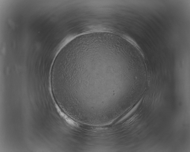X0000051881439200506241402