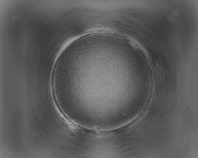 X0000051881440200506241402