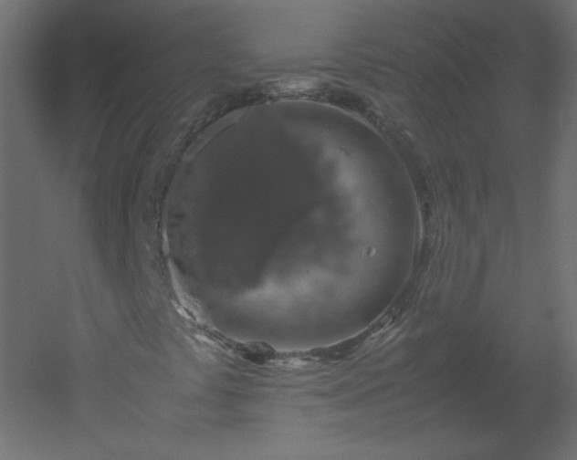 X0000051881441200506241401