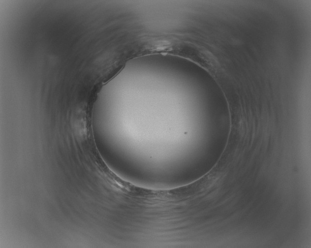 X0000051881442200506241401