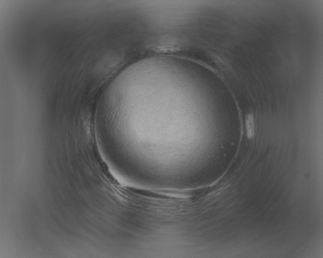 X0000051881444200506241401