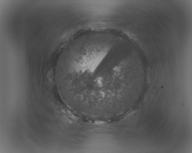 X0000051881445200506241401