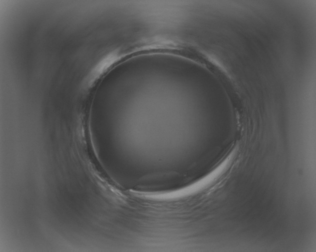 X0000051881455200506241401
