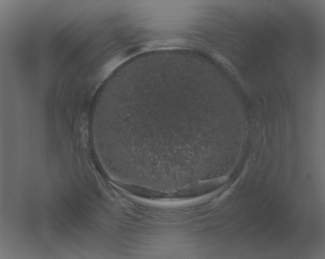 X0000051881457200506241401
