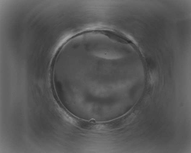 X0000051881463200506241401