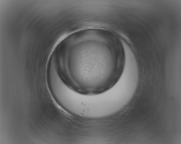 X0000051881471200506241400