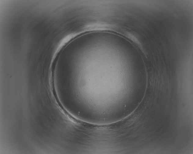 X0000051881472200506241400
