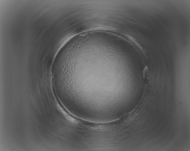 X0000051881476200506241400