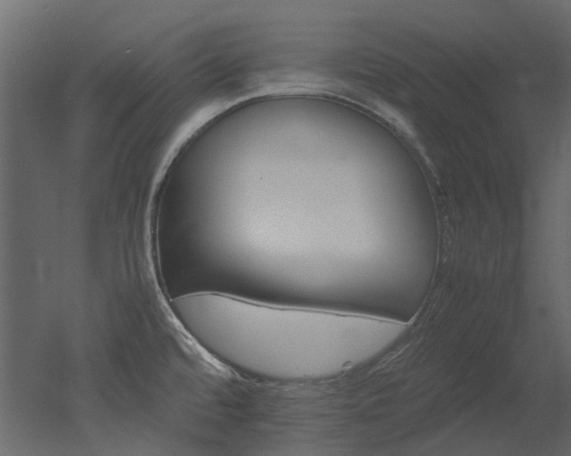 X0000051881480200506241400