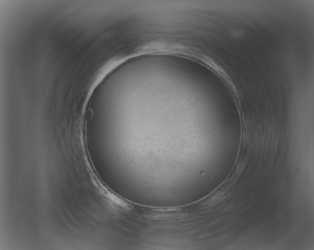 X0000051881486200506241400
