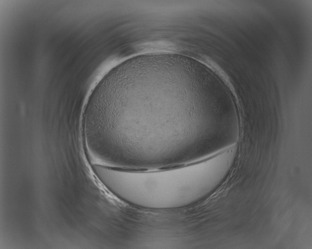 X0000051881488200506241400