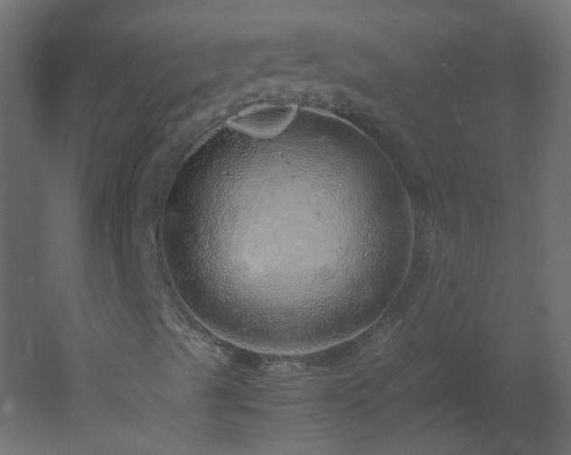 X0000051881489200506241359