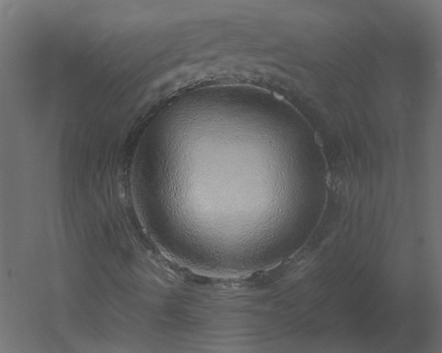 X0000051881490200506241359
