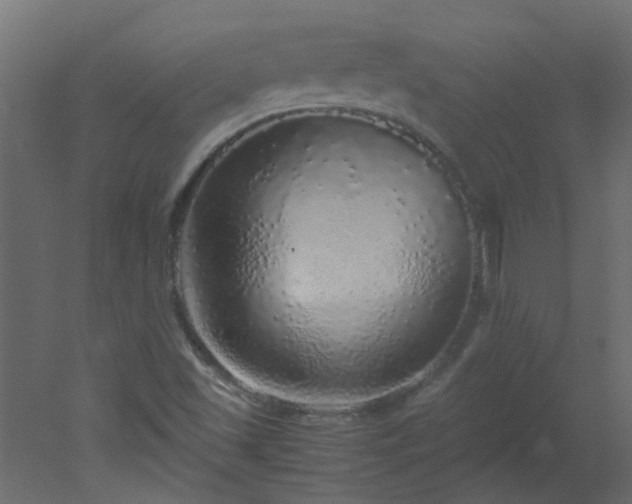 X0000051881501200506241400