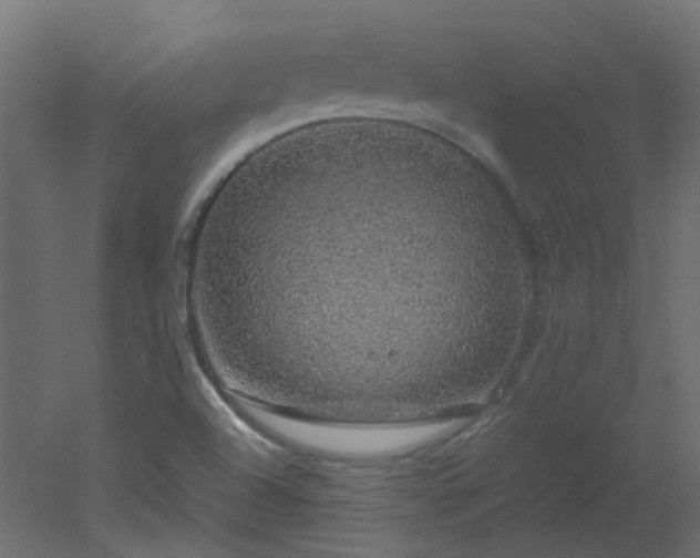 X0000051881504200506241400