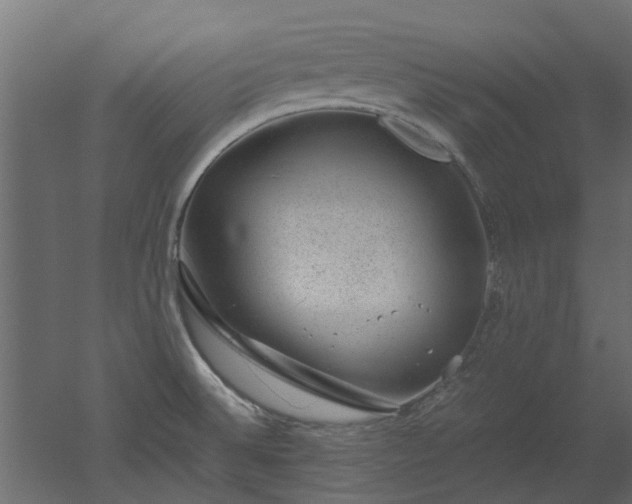 X0000051881524200506241400