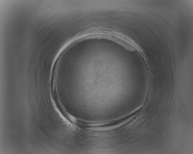 X0000051881536200506241400