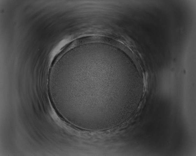 X0000051880003200507020042
