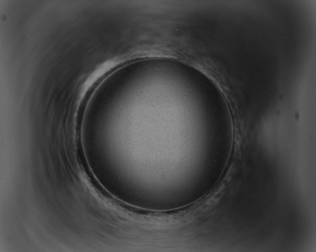 X0000051880008200507020042
