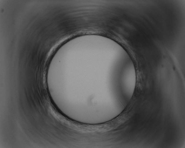 X0000051880012200507020042