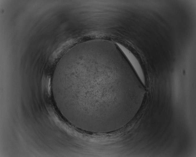 X0000051880024200507020042