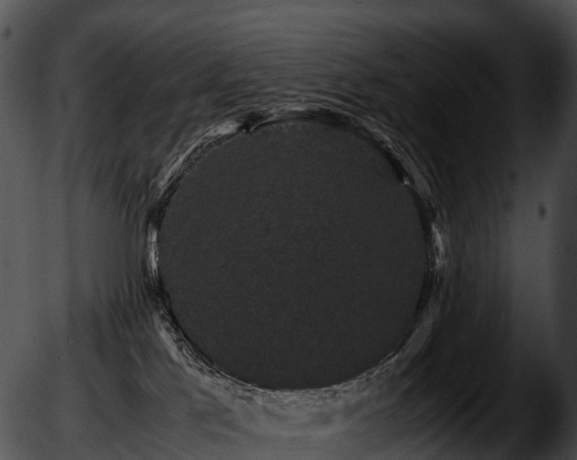 X0000051880041200507020042