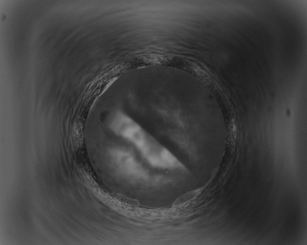 X0000051880043200507020042