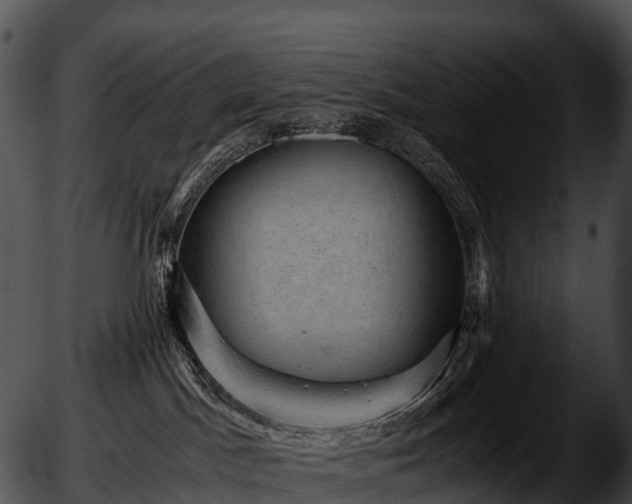 X0000051880045200507020042