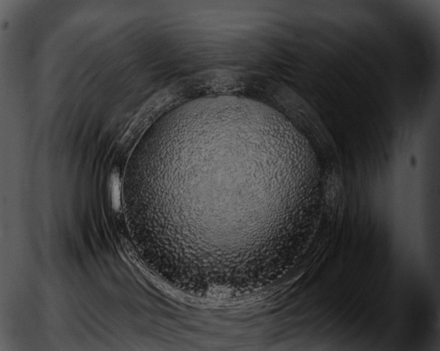 X0000051880046200507020042