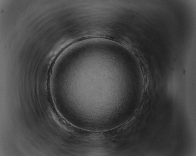X0000051880050200507020041