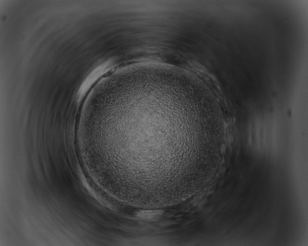 X0000051880051200507020041