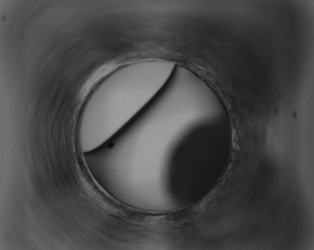 X0000051880054200507020041