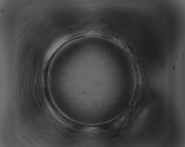 X0000051880055200507020041