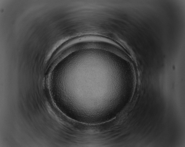 X0000051880060200507020041
