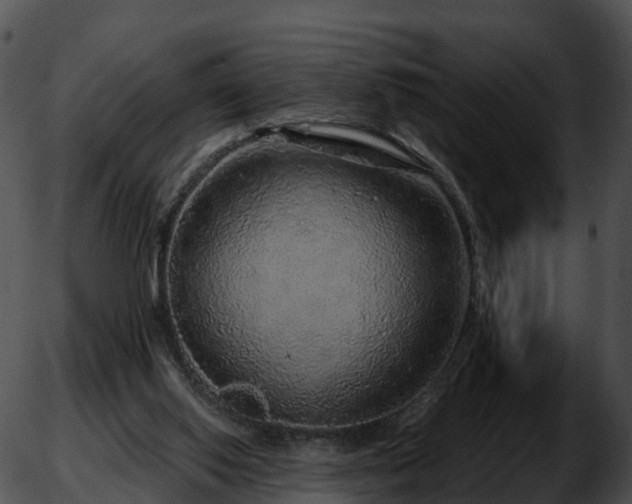 X0000051880062200507020041