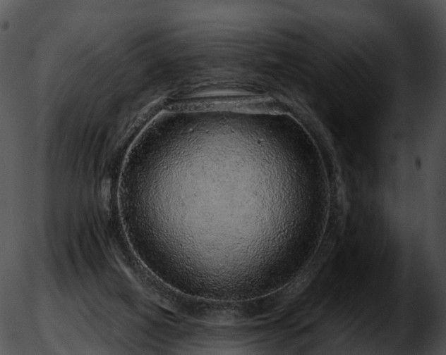 X0000051880066200507020041
