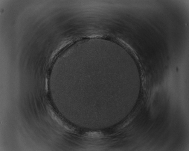 X0000051880067200507020041