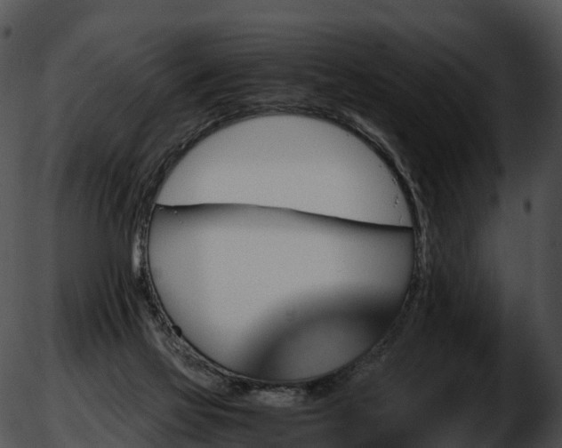 X0000051880069200507020041
