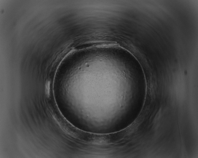X0000051880070200507020041