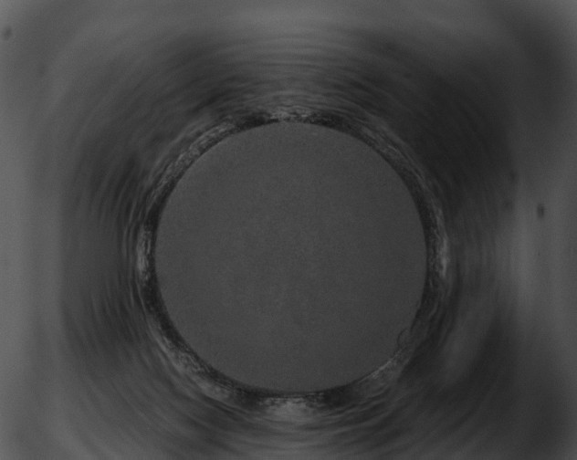 X0000051880074200507020041