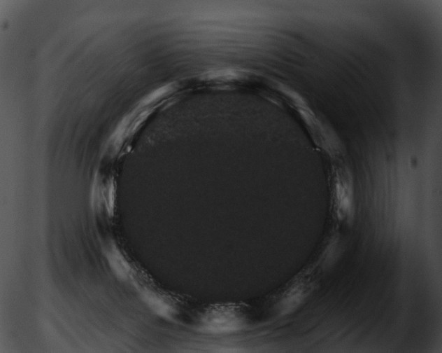 X0000051880076200507020041