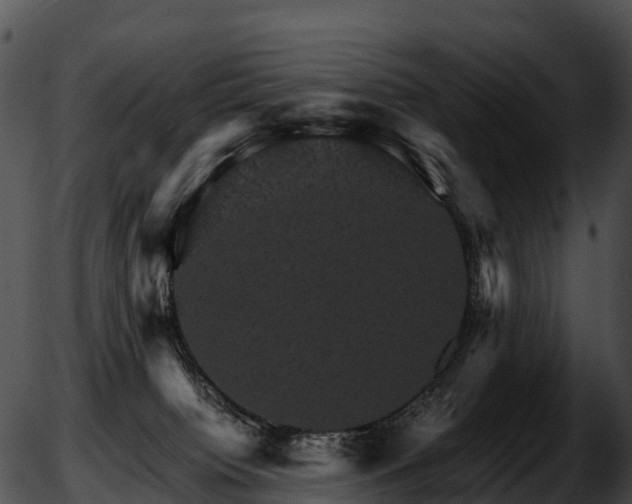 X0000051880084200507020041