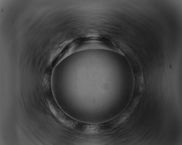 X0000051880088200507020041